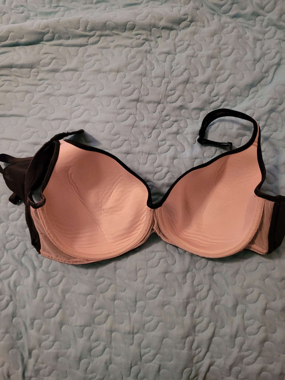 Cacique Black Lace Over Blush T-Shirt Bra - Picture 2 of 4